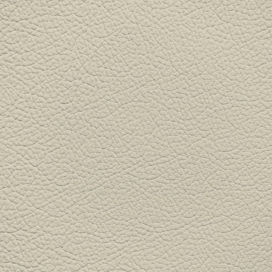 Ford/Lincoln/Mercury Light Camel Leather Dye