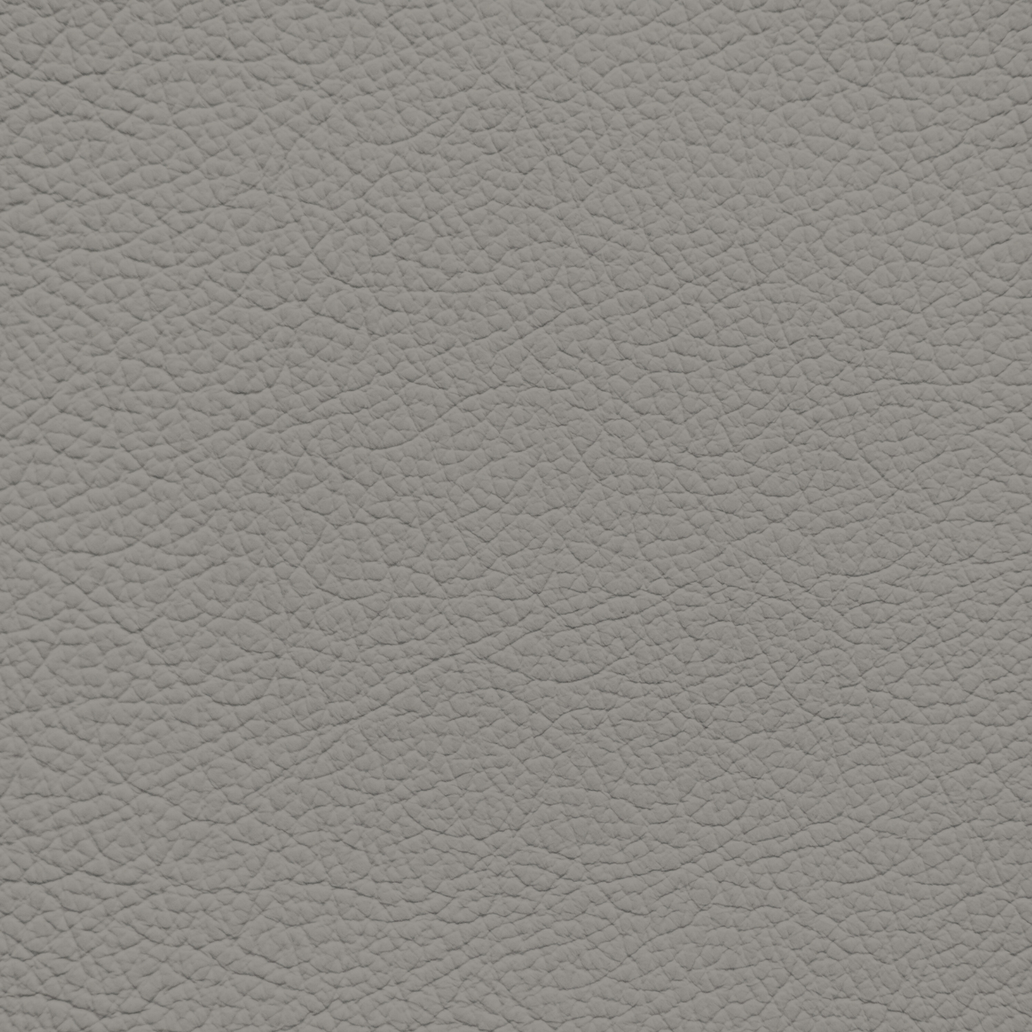 Lexus Light Charcoal Leather Dye