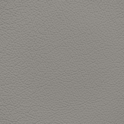 Lexus Light Charcoal Leather Dye