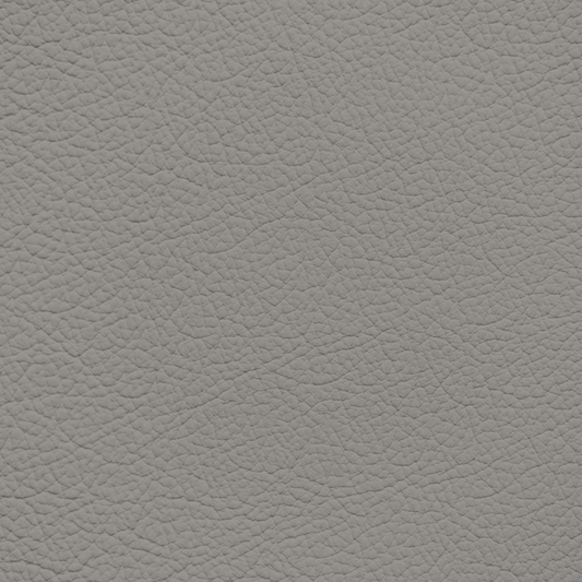 Lexus Light Charcoal Leather Dye