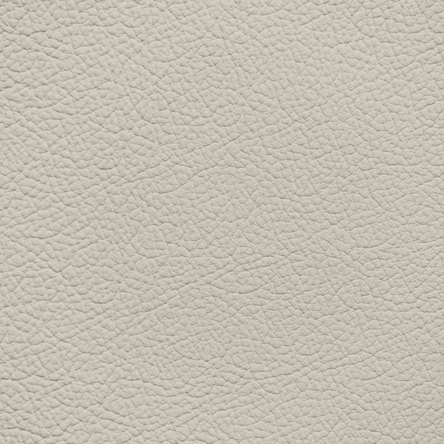 Ford/Lincoln/Mercury Light Cream Parchment Leather Dye