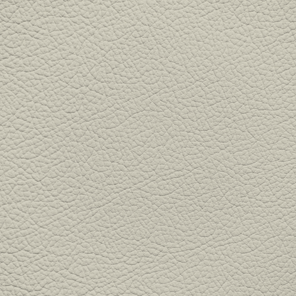 Ford/Lincoln/Mercury Light Cream Parchment Leather Dye