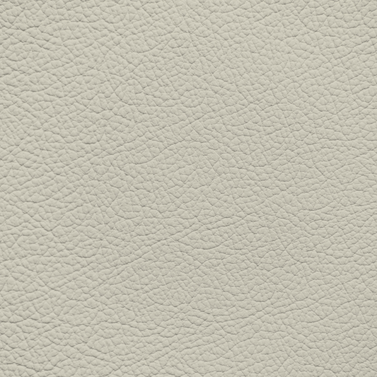 Ford/Lincoln/Mercury Light Cream Parchment Leather Dye