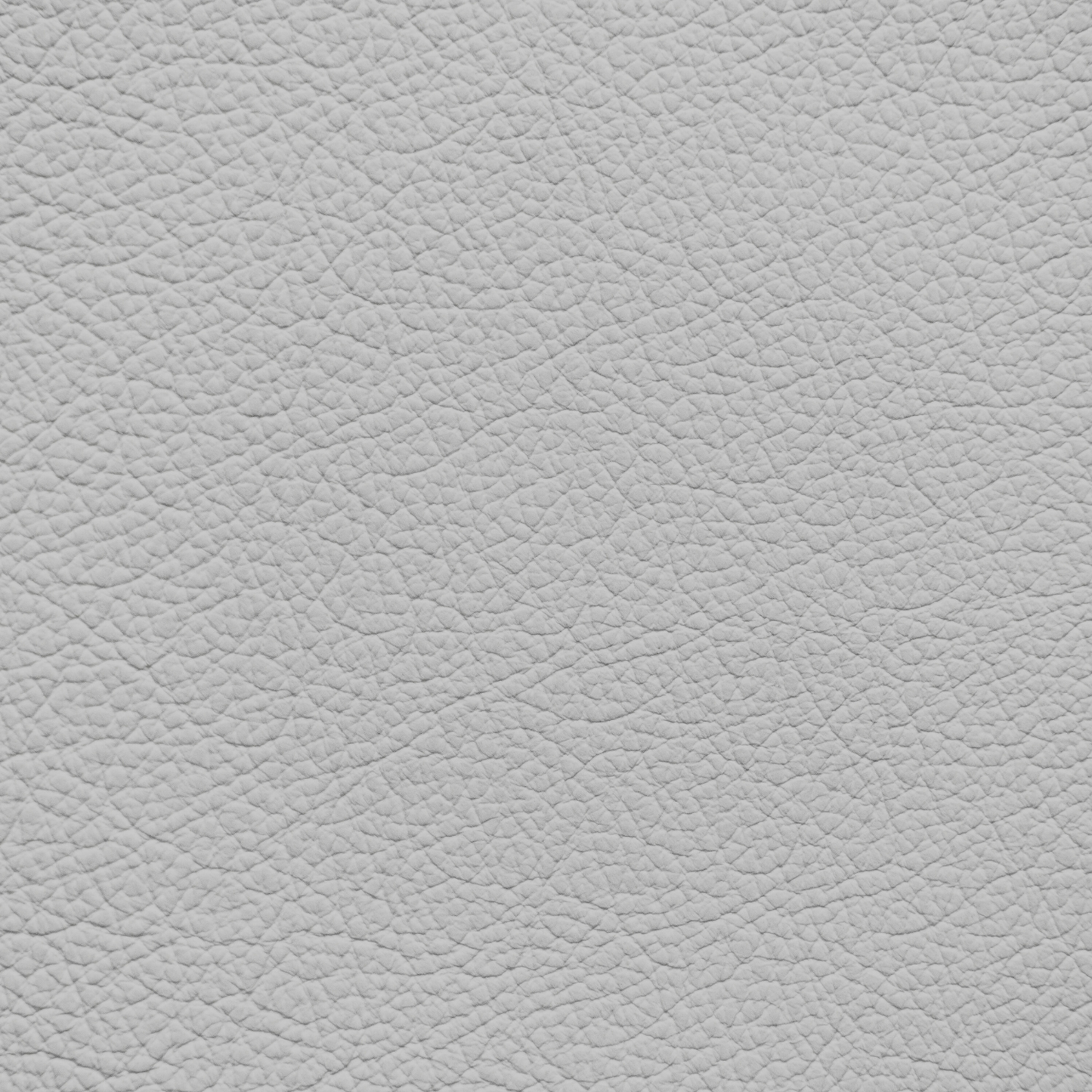 Ford/Lincoln/Mercury Light Flint Leather Dye