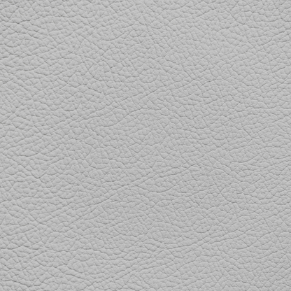 Ford/Lincoln/Mercury Light Flint Leather Dye