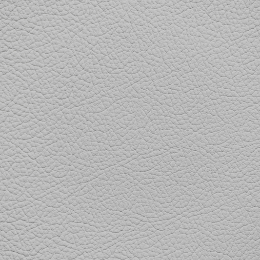 Ford/Lincoln/Mercury Light Flint Leather Dye
