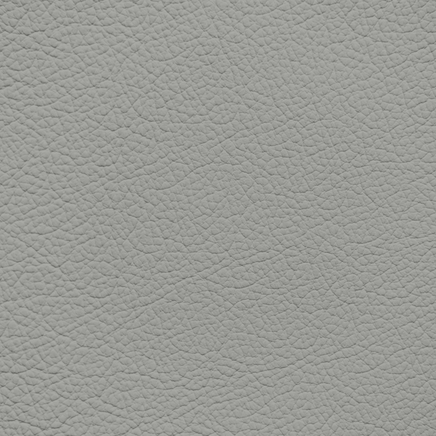 Ford/Lincoln/Mercury Light Graphite Leather Dye