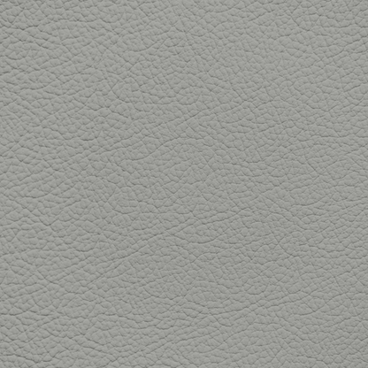 Ford/Lincoln/Mercury Light Graphite Leather Dye