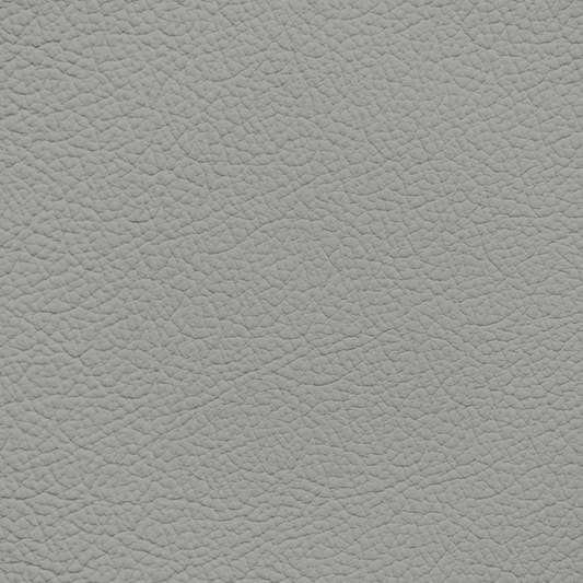 Ford/Lincoln/Mercury Light Graphite Leather Dye