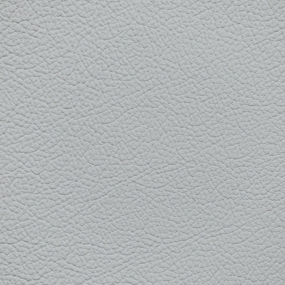 Infiniti Light Gray Leather Dye