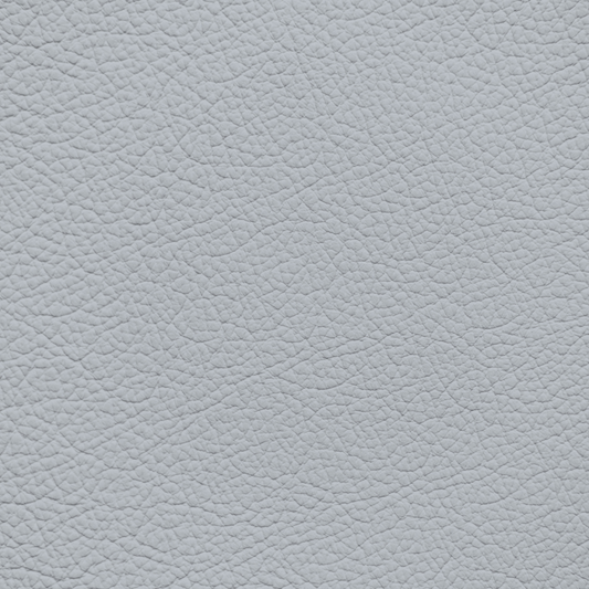 Lexus Light Gray Leather Dye