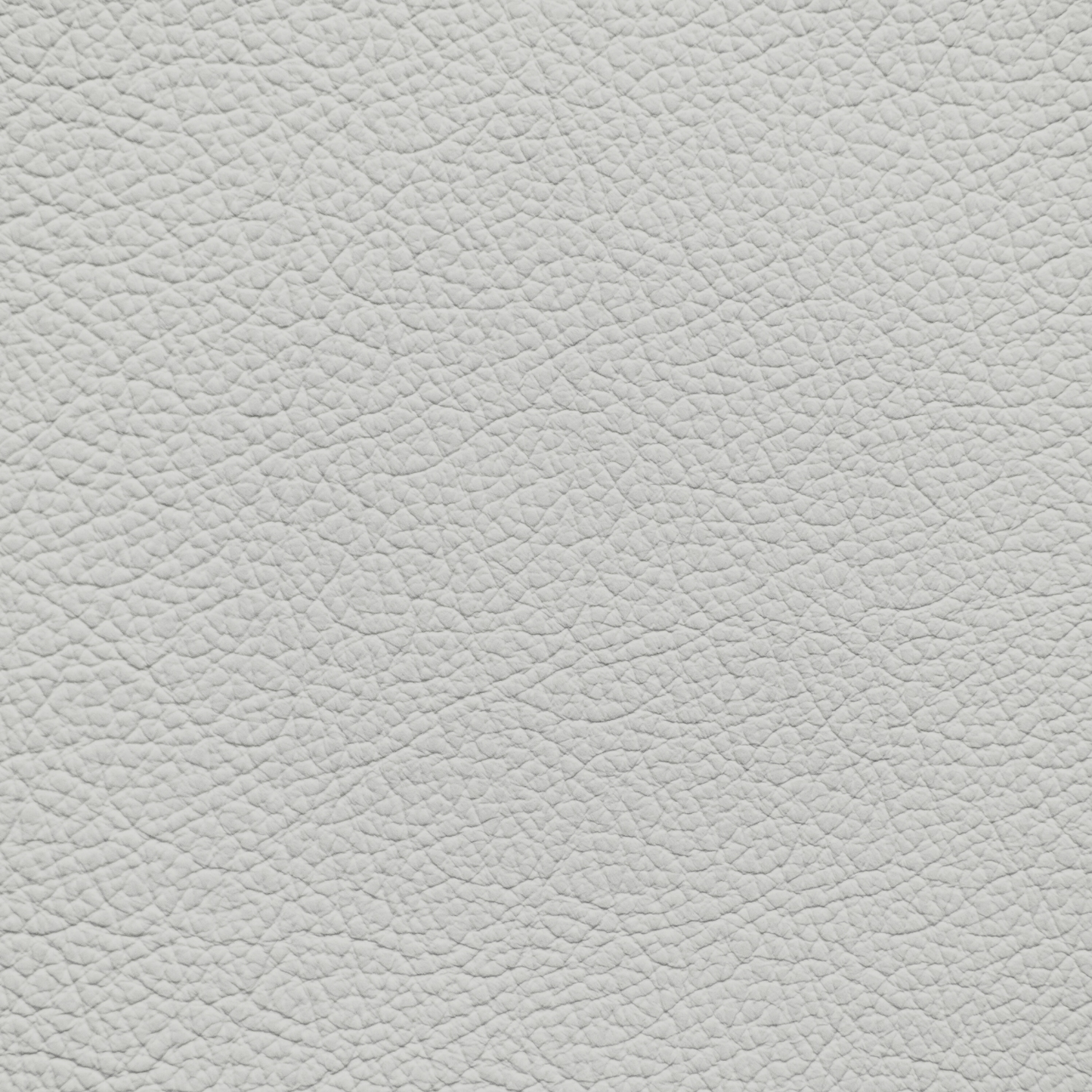 Mercedes Light Gray Leather Dye