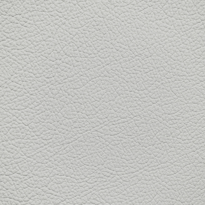 Mercedes Light Gray Leather Dye