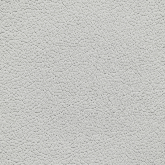 Mercedes Light Gray Leather Dye