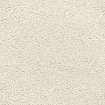 Lexus Light Ivory Leather Dye