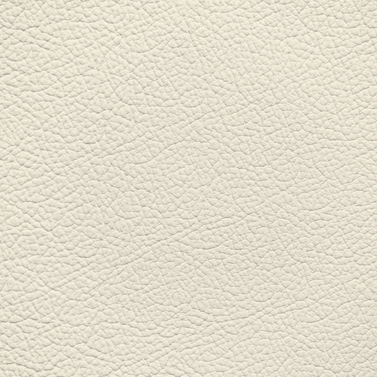 Lexus Light Ivory Leather Dye
