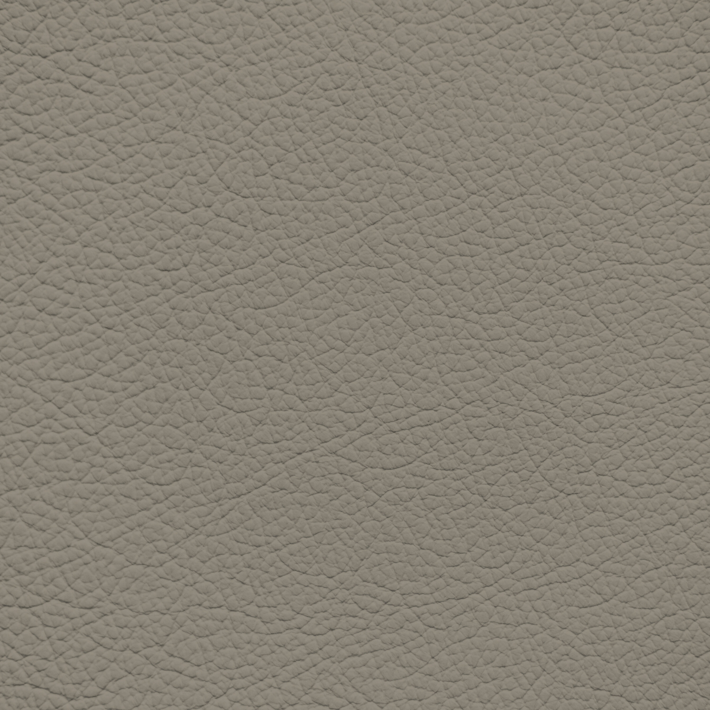 Ford/Lincoln/Mercury Light Mink Leather Dye