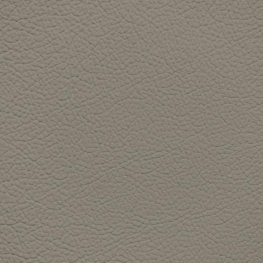 Ford/Lincoln/Mercury Light Mink Leather Dye