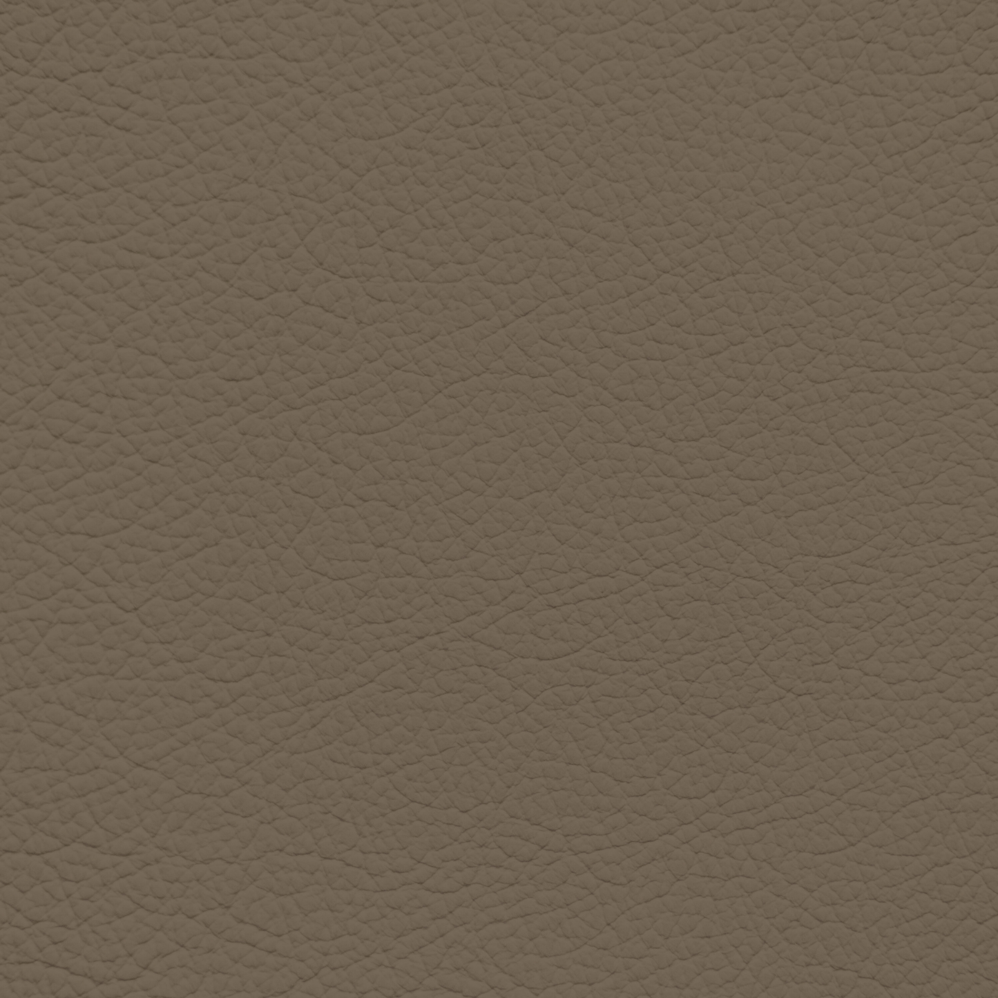 Ford/Lincoln/Mercury Light Mocha Leather Dye