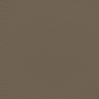 Ford/Lincoln/Mercury Light Mocha Leather Dye