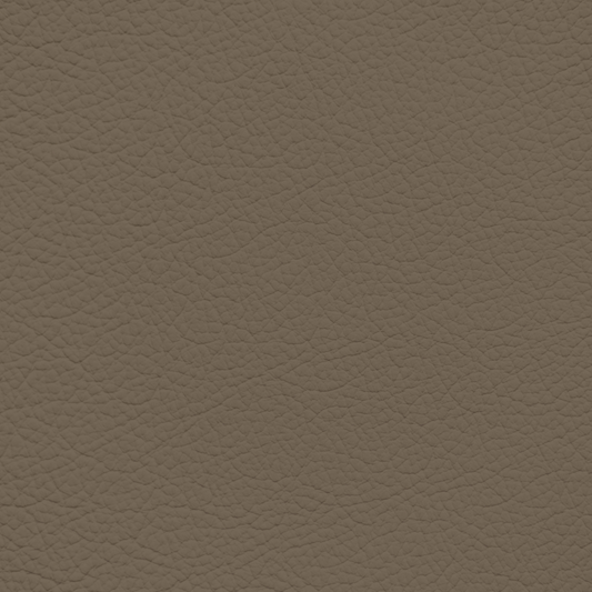 Ford/Lincoln/Mercury Light Mocha Leather Dye