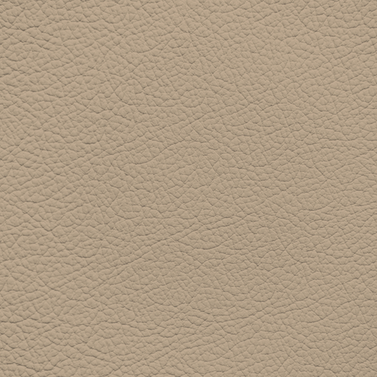 Ford/Lincoln/Mercury Light Oak Leather Dye