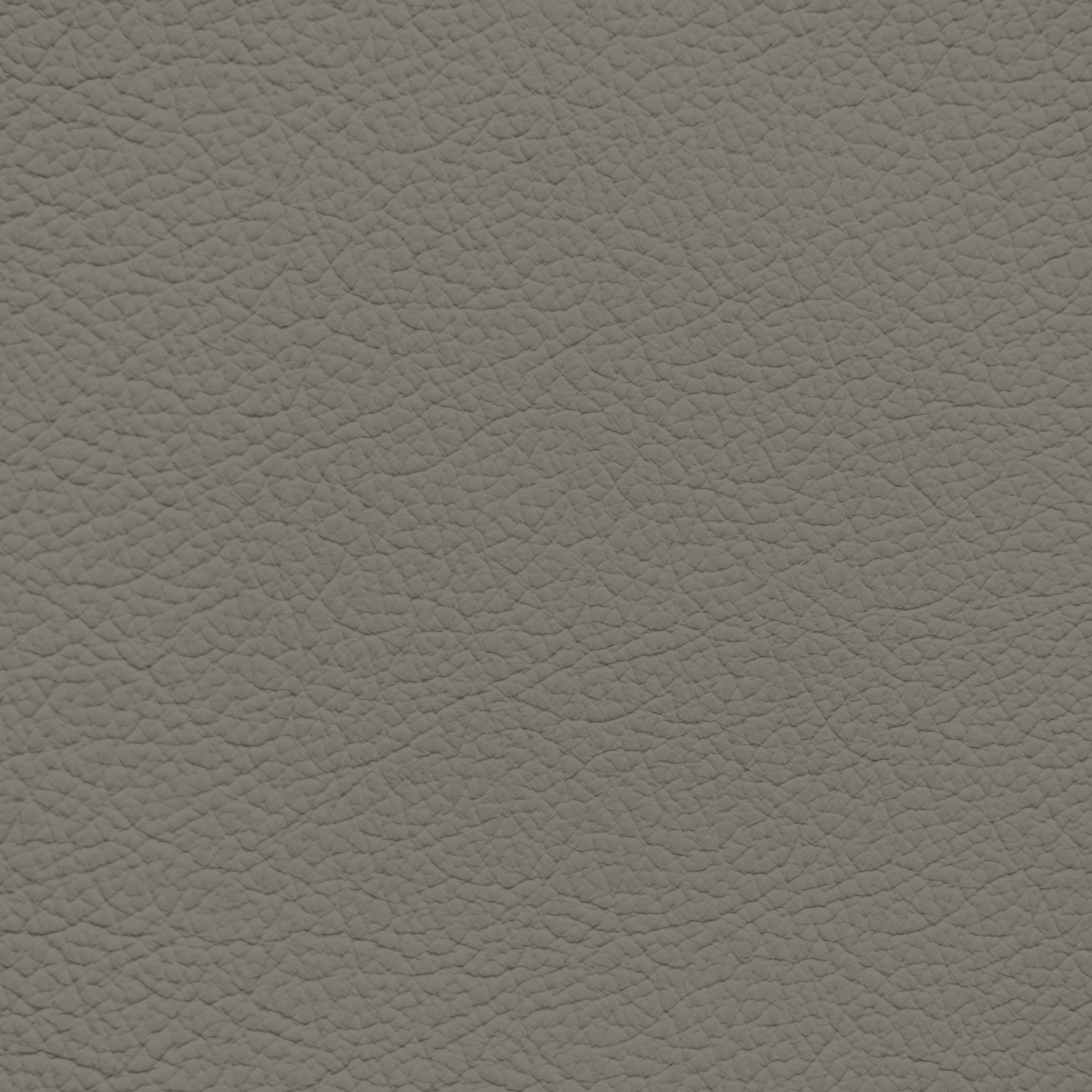 Nissan Light Olive Leather Dye