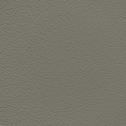 Nissan Light Olive Leather Dye