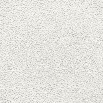 Ford/Lincoln/Mercury Light Oxford White Leather Dye
