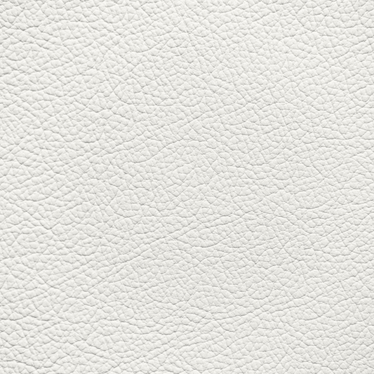 Ford/Lincoln/Mercury Light Oxford White Leather Dye