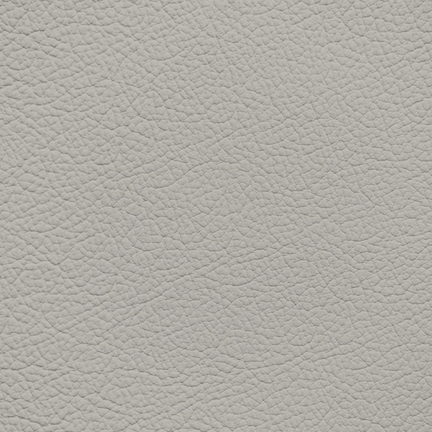 Mercedes Light Oyster Gray Leather Dye