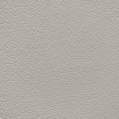Mercedes Light Oyster Gray Leather Dye