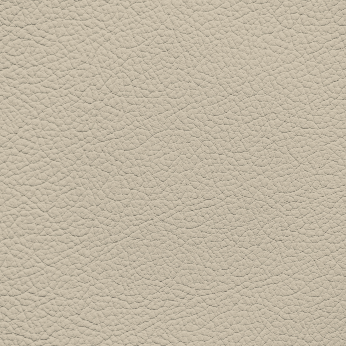 Ford/Lincoln/Mercury Light Parchment Leather Dye