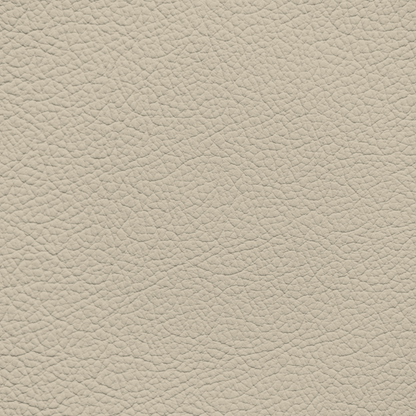 Ford/Lincoln/Mercury Light Parchment Leather Dye