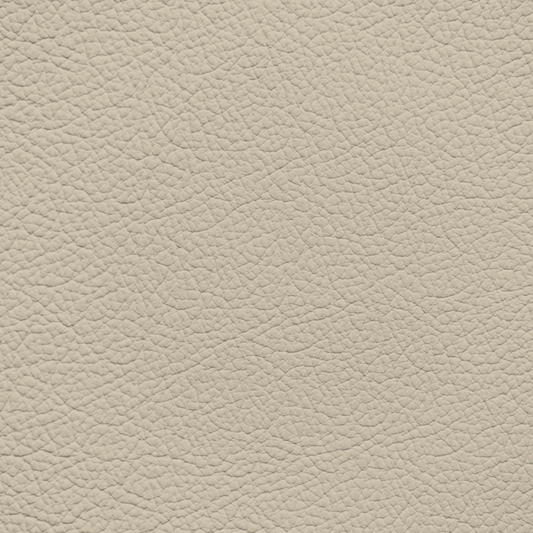 Ford/Lincoln/Mercury Light Parchment Leather Dye