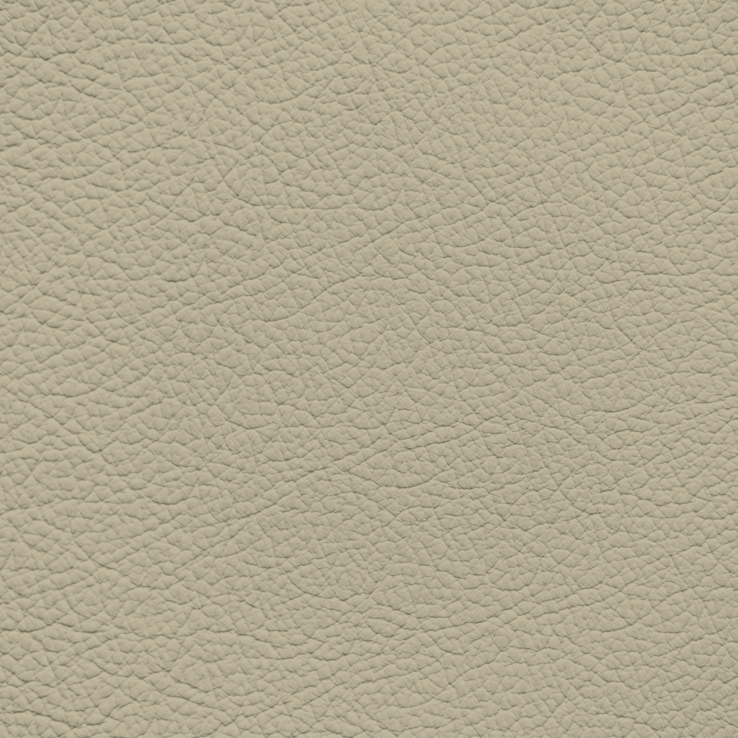Ford/Lincoln/Mercury Light Pebble Leather Dye