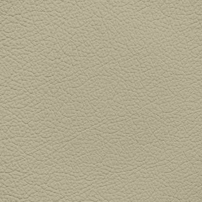Ford/Lincoln/Mercury Light Pebble Leather Dye