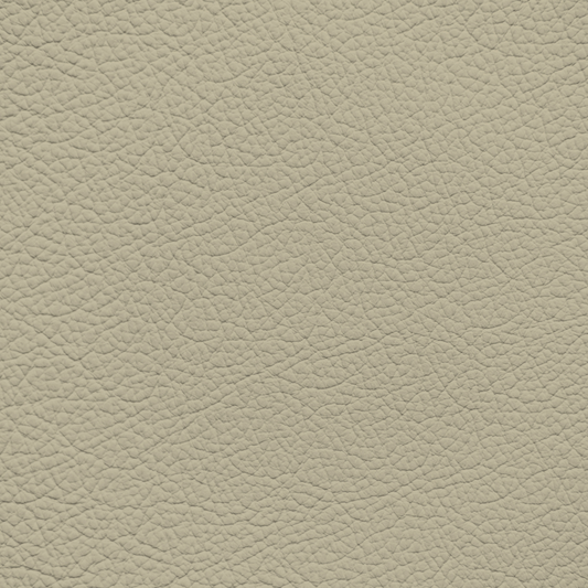 Ford/Lincoln/Mercury Light Pebble Leather Dye