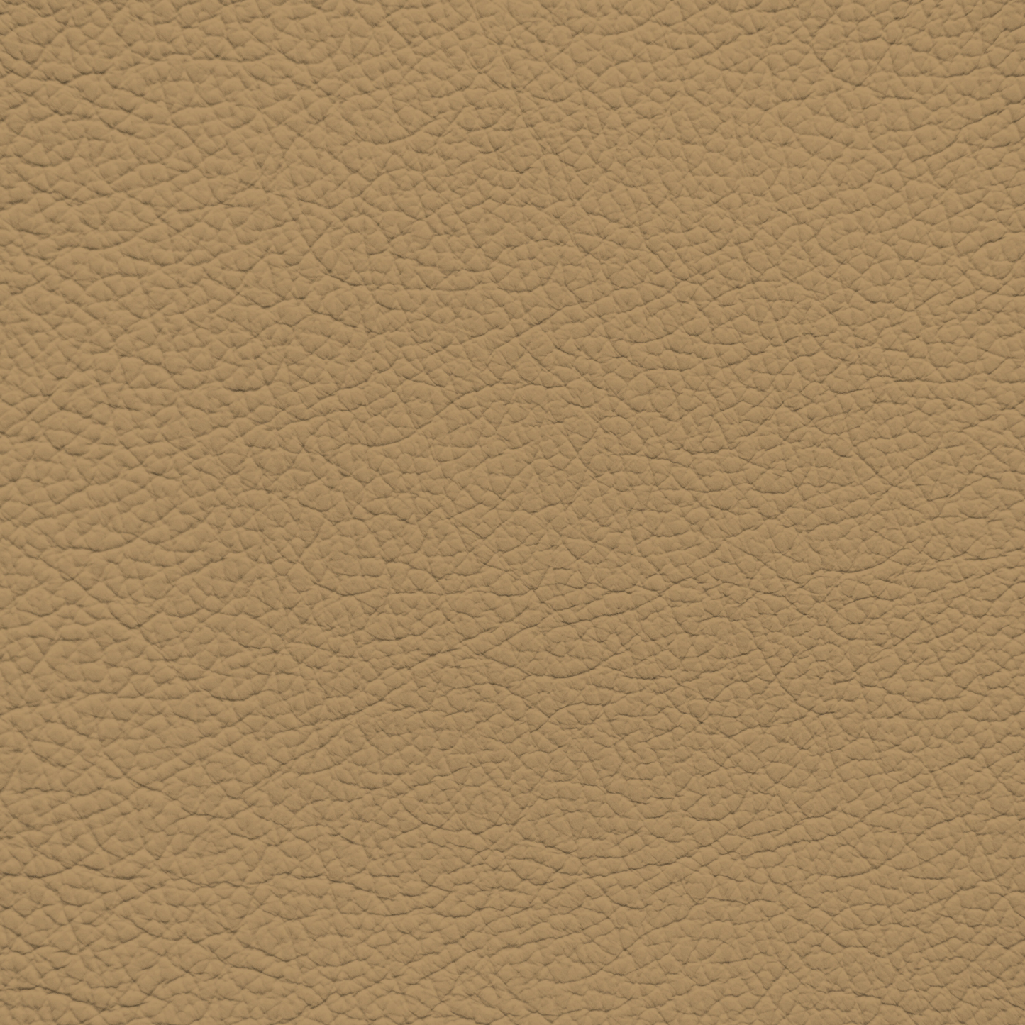Ford/Lincoln/Mercury Light Prairie Tan Leather Dye