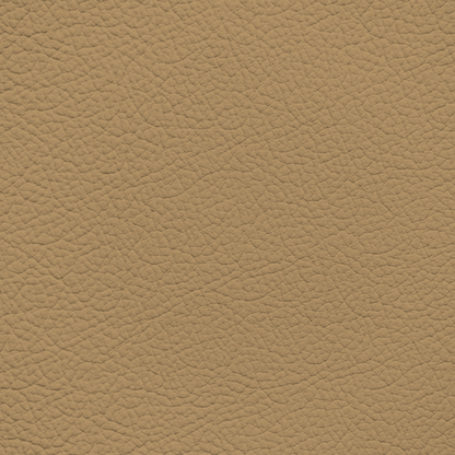 Ford/Lincoln/Mercury Light Prairie Tan Leather Dye