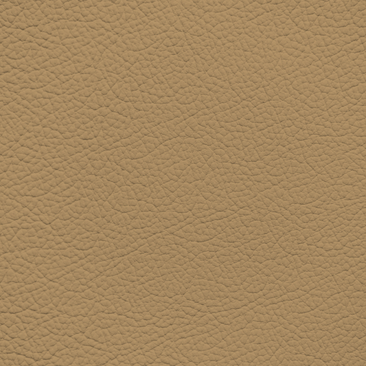 Ford/Lincoln/Mercury Light Prairie Tan Leather Dye