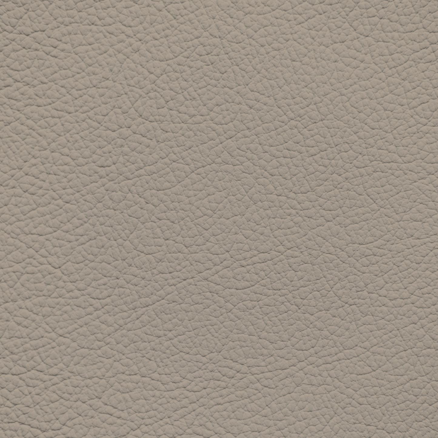 Ford/Lincoln/Mercury Light Sandalwood Leather Dye