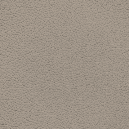 Ford/Lincoln/Mercury Light Sandalwood Leather Dye