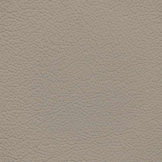 Ford/Lincoln/Mercury Light Sandalwood Leather Dye