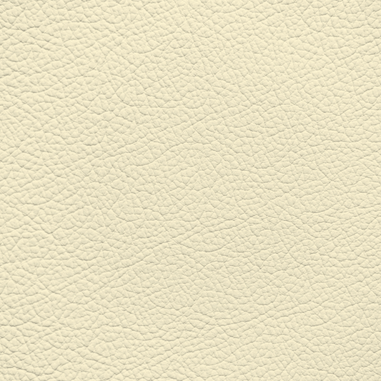 Mercedes Light Shell Leather Dye