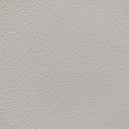 Ford/Lincoln/Mercury Light Stone Leather Dye