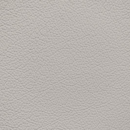 Ford/Lincoln/Mercury Light Stone Leather Dye