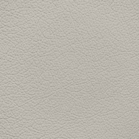 Nissan Light Stone Leather Dye