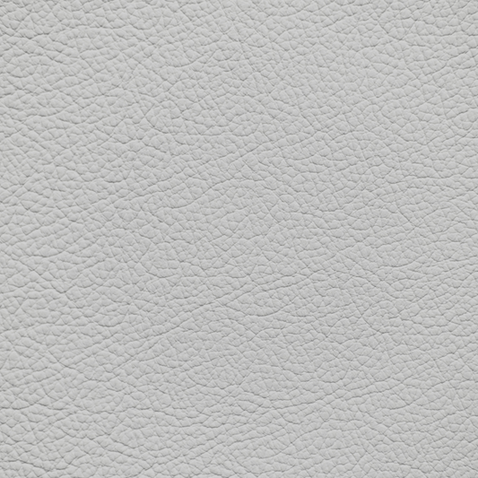 Toyota Light Warm Gray Leather Dye
