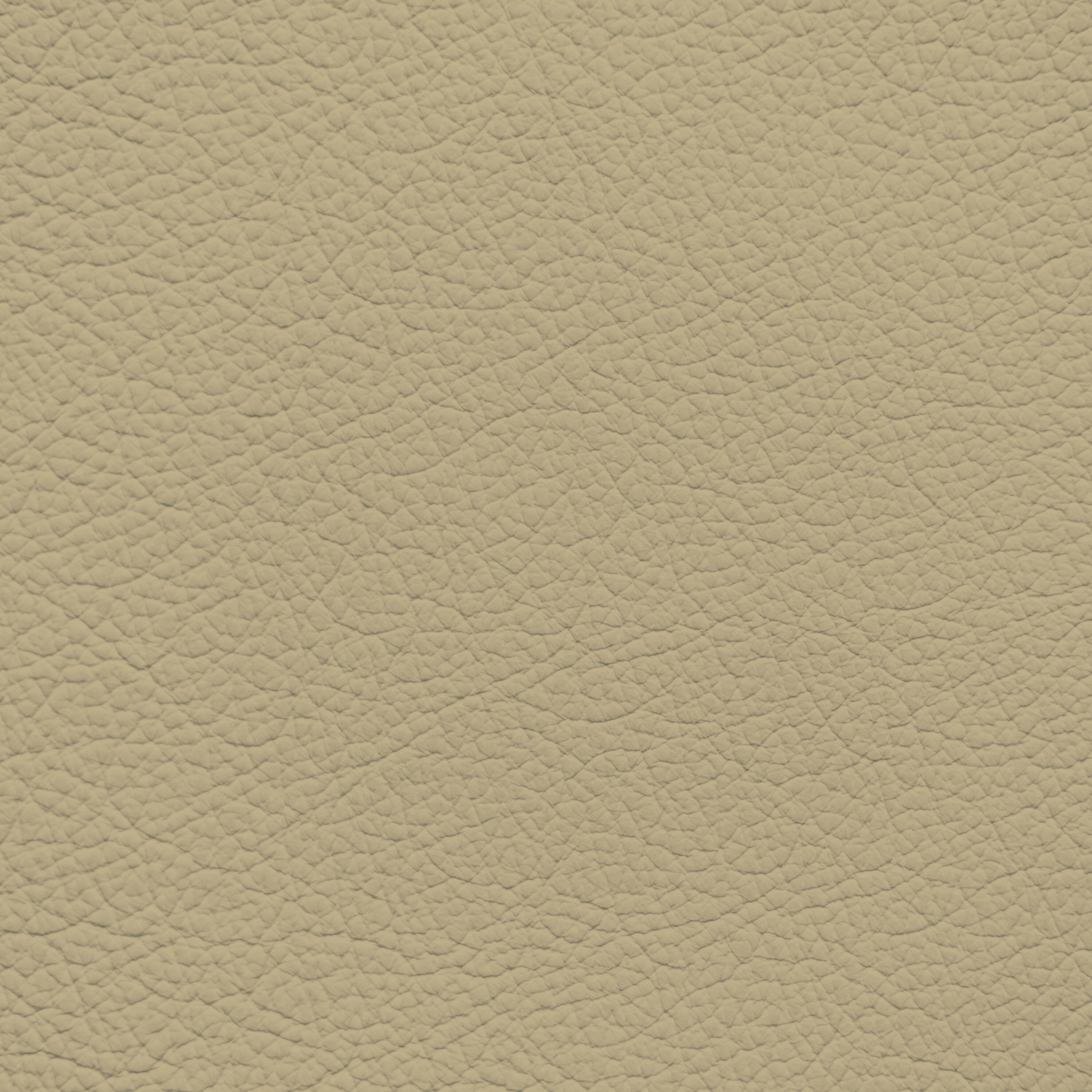 Jaguar Light Beige/Ivory Leather Dye